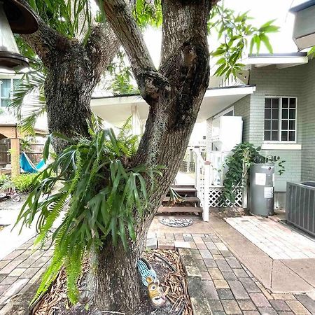 Independent Studio In Little Havana ميامي المظهر الخارجي الصورة