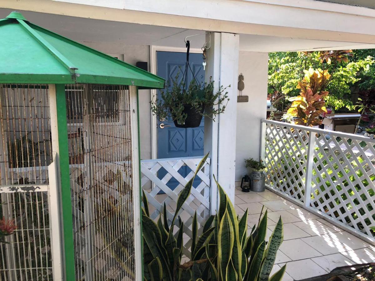 Independent Studio In Little Havana ميامي المظهر الخارجي الصورة