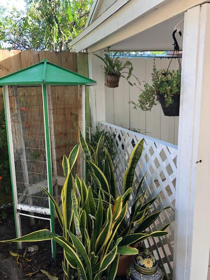 Independent Studio In Little Havana ميامي المظهر الخارجي الصورة