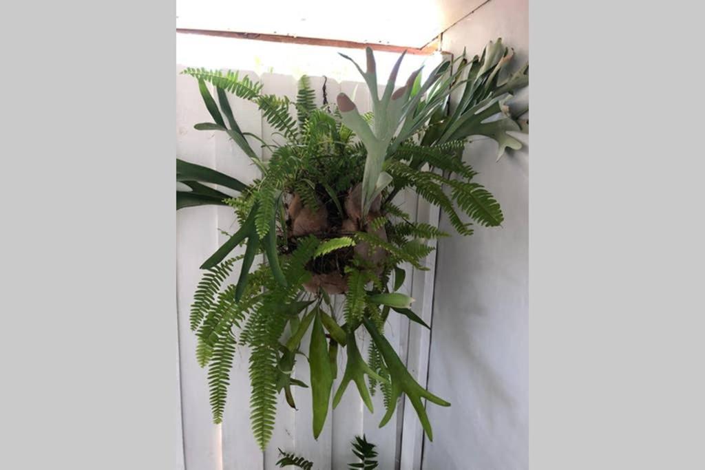 Independent Studio In Little Havana ميامي المظهر الخارجي الصورة