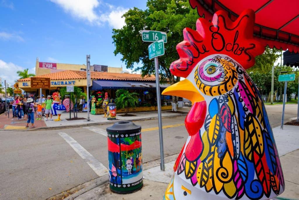 Independent Studio In Little Havana ميامي المظهر الخارجي الصورة