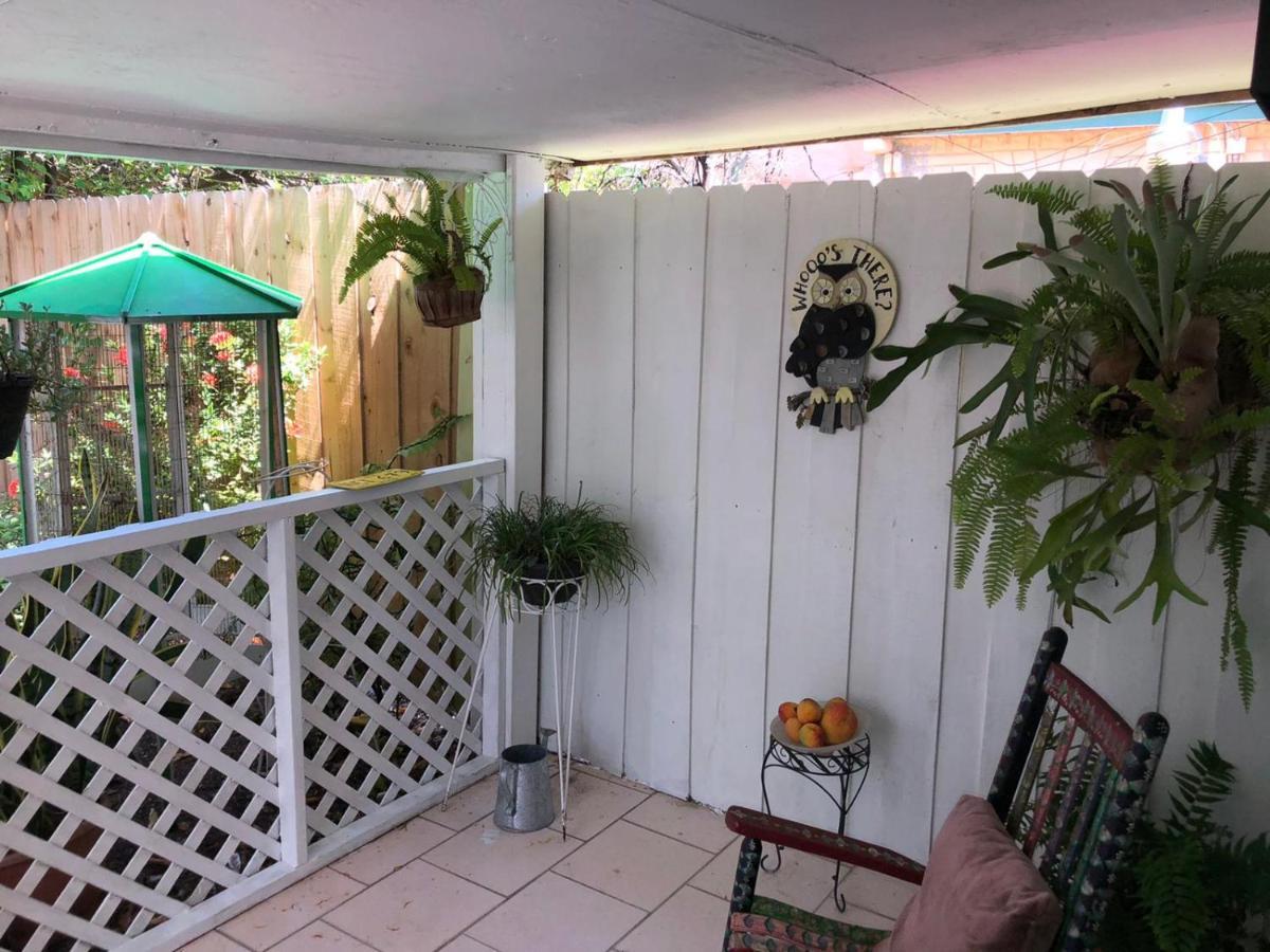 Independent Studio In Little Havana ميامي المظهر الخارجي الصورة