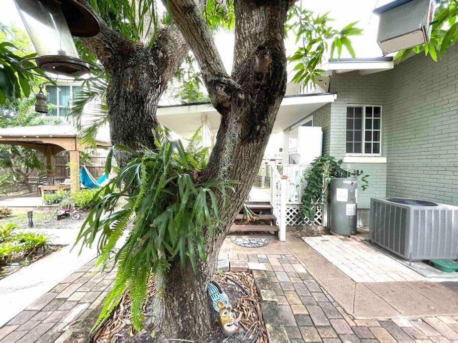 Independent Studio In Little Havana ميامي المظهر الخارجي الصورة