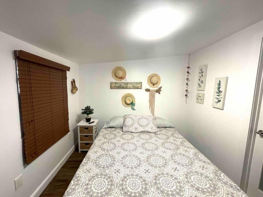 Independent Studio In Little Havana ميامي المظهر الخارجي الصورة