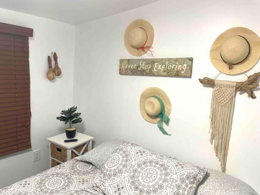 Independent Studio In Little Havana ميامي المظهر الخارجي الصورة